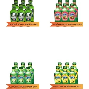 Maden Suyu Mix 1  24 x 200 ml