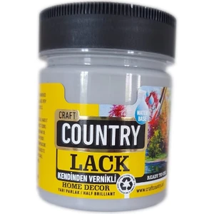 Craft Country 4051 Kendinden Vernikli Lack Hobi Boyası 120 cc Gri