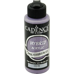 H033 Iris Multisurface 120ML