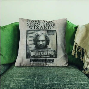 Wizarding World Yastık Have You Seen This Wizard 37114