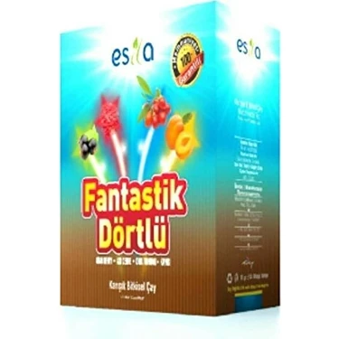 Esila Fantastik Dörtlü Yaz Çayı 45