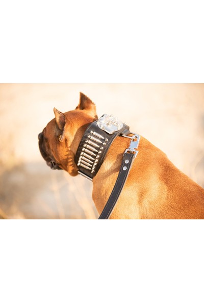 Ac Leather Köpek Boyun Tasması ve Gezdirme Kayışı