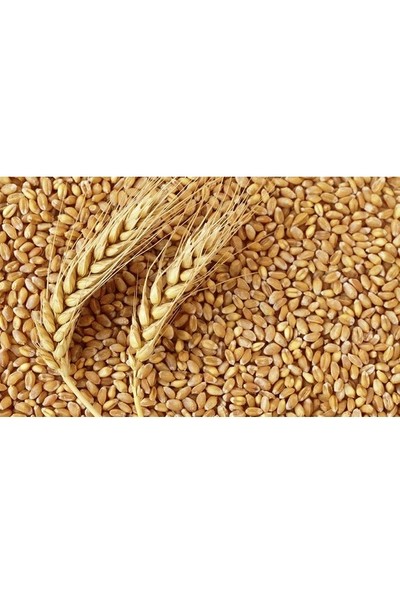 Narımpa Buğday Yemi 10 kg