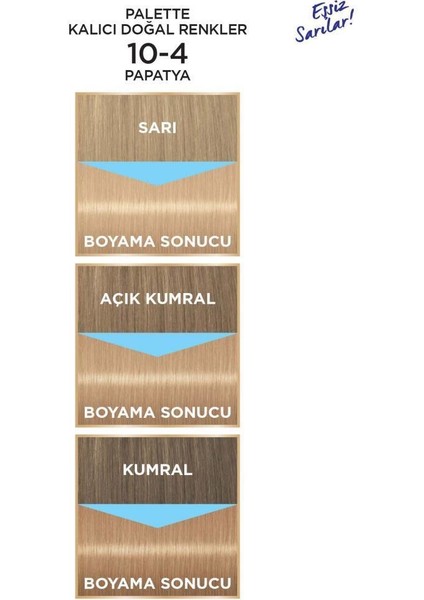 Kalıcı Doğal Renkler Saç Boyası 10-4 Papatya X 2 Adet + Soğuk Sarı Palette Toner