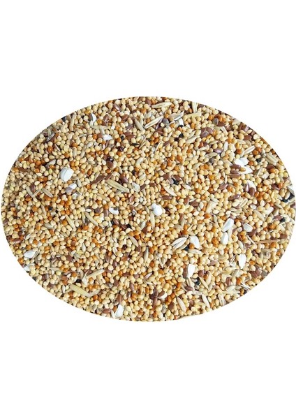 Kızıştırıcı Kuş Yemi 150 gr (3 Adet)