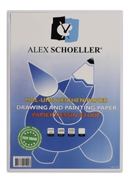 Alex Scholler Resim Kağıdı 25 x 35 cm -100'lü + Giotto Turbo Keçeli Kalem 12'li + Gıotto Suluboya 12'li