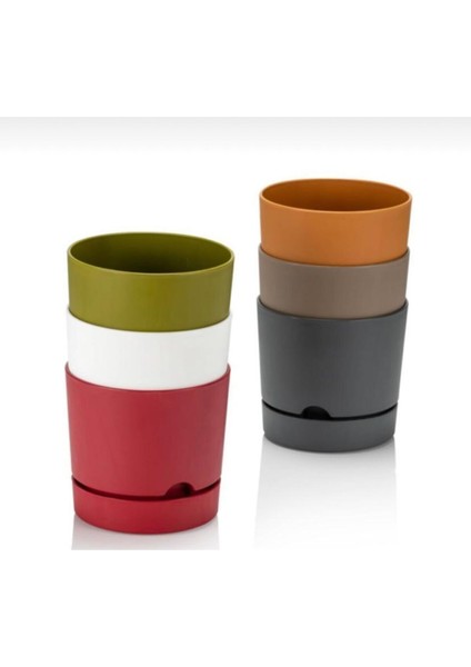 0,5 Litre Saksı modelleri