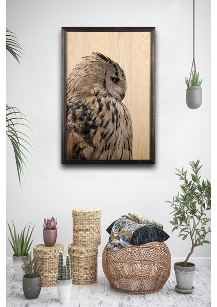 Duvar Aksesuarı Owl