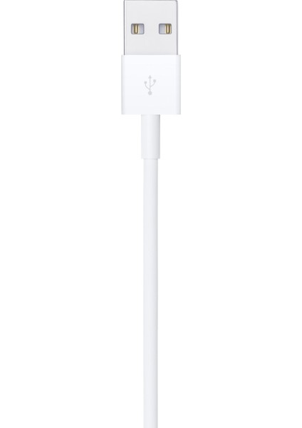 iPad Mini (5. Nesil) Lightning - USB Şarj & Veri Kablosu (1m)