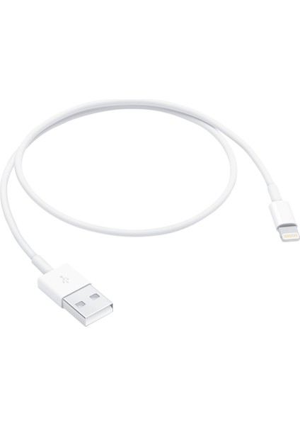 iPad (8. Nesil) Lightning - USB Şarj & Veri Kablosu (0,5m)