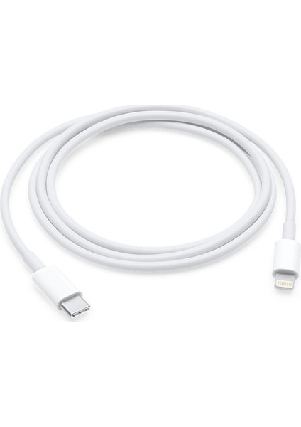 iPad Mini (1. Nesil) Usb-C - Lightning Şarj & Veri Kablosu (1m)