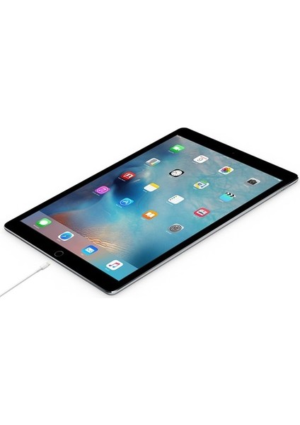 iPad Mini (1. Nesil) Usb-C - Lightning Şarj & Veri Kablosu (1m)