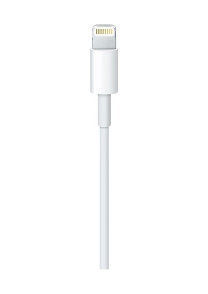 iPad Mini 2 Usb-C - Lightning Şarj & Veri Kablosu (1m)