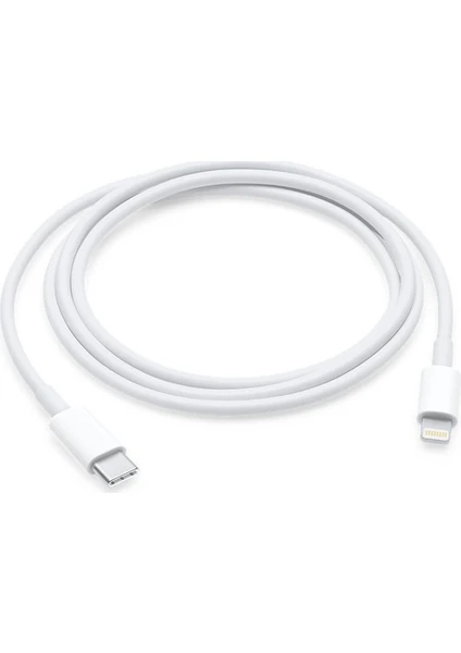 iPad (8. Nesil) Usb-C - Lightning Şarj & Veri Kablosu (1m)