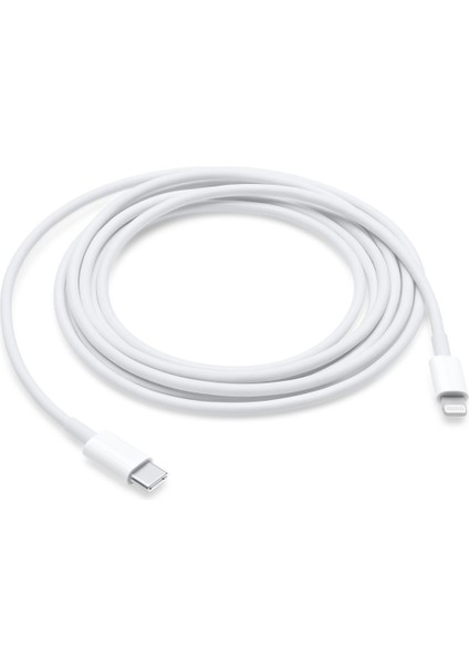 iPad Mini 3 Usb-C - Lightning Şarj & Veri Kablosu (2m)