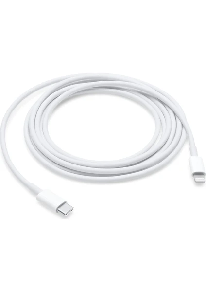 iPad (8. Nesil) Usb-C - Lightning Şarj & Veri Kablosu (2m)