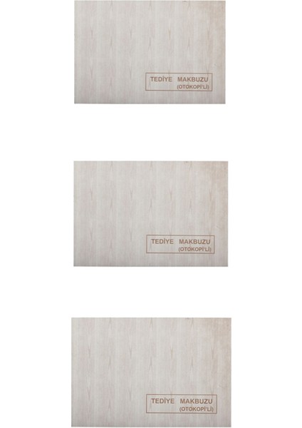 2/50 2 Nüsha Tediye Makbuzu 3 Adet