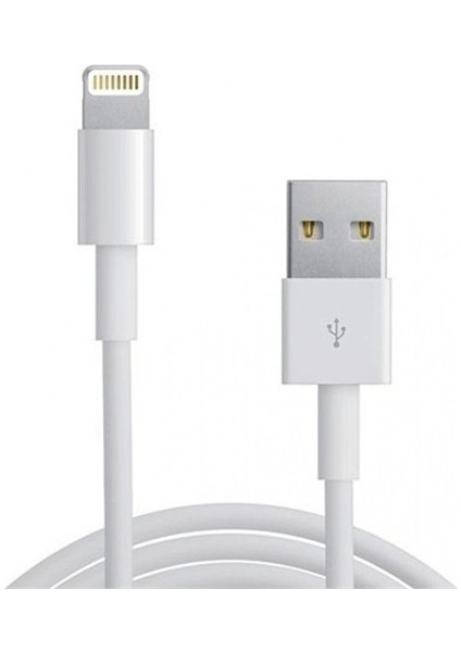 15.5W Çift Girişli Apple iPad  Şarj Adaptörü + Kablo (Oem)