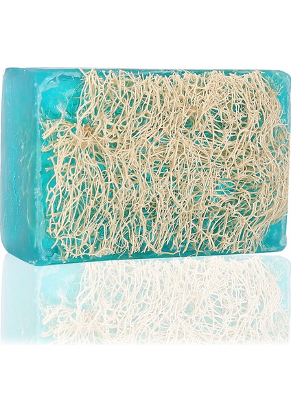 El Yapımı Doğal Kabak Lifli Okaliptus Sabunu 120 gr fırsatları