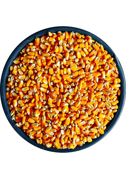 Mısır 1kg Tavuk Yemi Yemlik Mısır Kanatlı Yemi Kaz Ördek Yemi Kuş Yemi