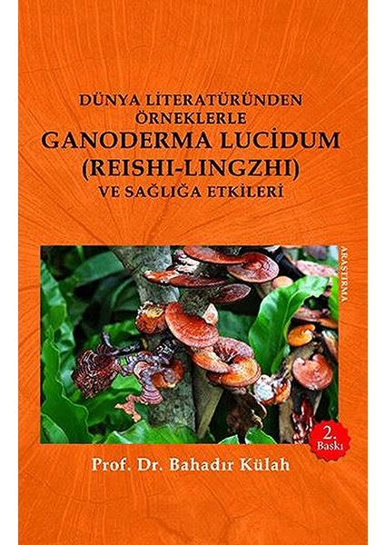 Dünya Literatüründen Örneklerle Ganoderma Lucidum (Reishi-Lingzhi) ve Sağlığa Etkileri - Bahadır Külah