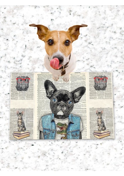 Köpek Kedi Mama ve Eğitim Altlığı Kaymaz Tabanlı