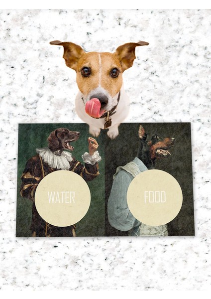 Köpek Kedi Mama ve Eğitim Altlığı Kaymaz Tabanlı