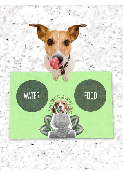 Köpek Kedi Mama ve Eğitim Altlığı Kaymaz Tabanlı