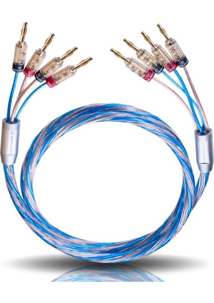 Bi Tech Siyah Banana Uçlu Bi-Amping Hoparlör Kablosu 2.5mm² / 4.0 Mm² (2m)
