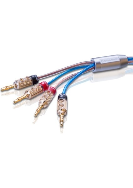 Bi Tech Siyah Banana Uçlu Bi-Amping Hoparlör Kablosu 2.5mm² / 4.0 Mm² (2m) fiyatları