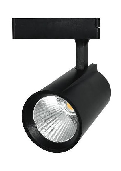 Taşkın LED 30 W Ray Spot Beyaz Kasa