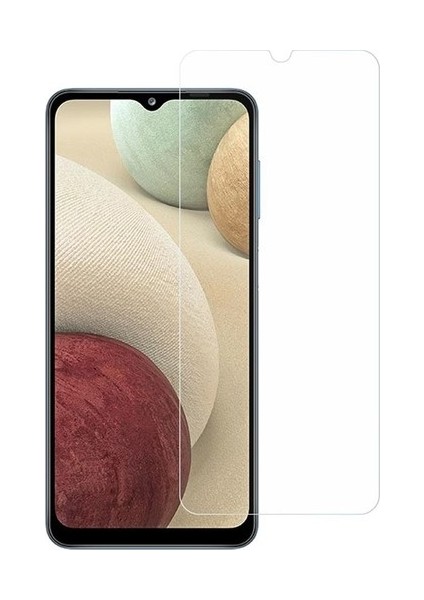 Samsung Galaxy M12 Nano Glass Ekran Koruyucu