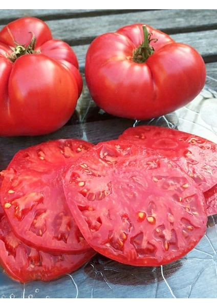 Agrodal Tarım Ata Tohumu Yöresel Iri Nergele Domatesi 100'LÜ