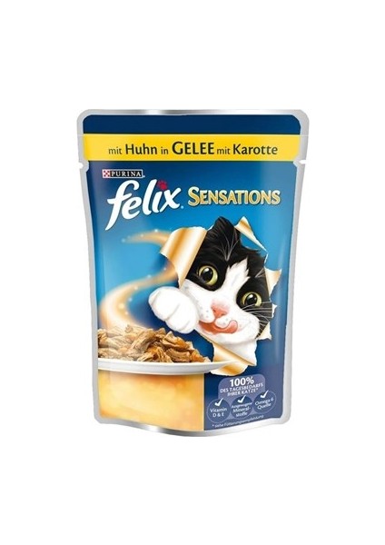 Purina Felix Çifte Lezzet Tavuklu Havuçlu Kedi Konservesi 100 gr