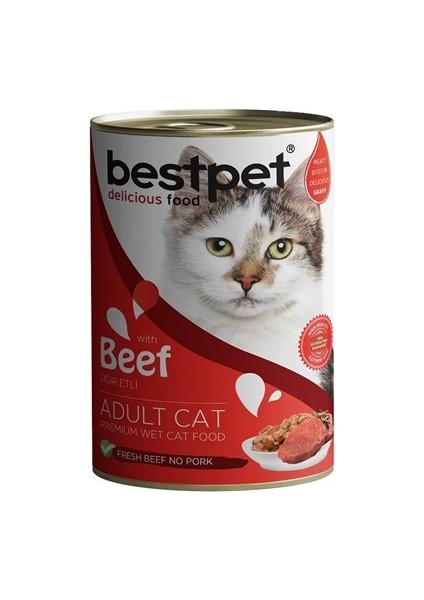 Biftekli Kedi Konservesi 415
