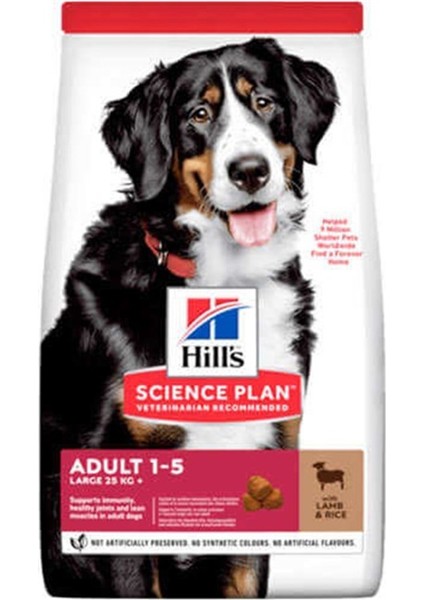 Büyük Irk Kuzu Etli Yetişkin Köpek Maması 12+2 kg