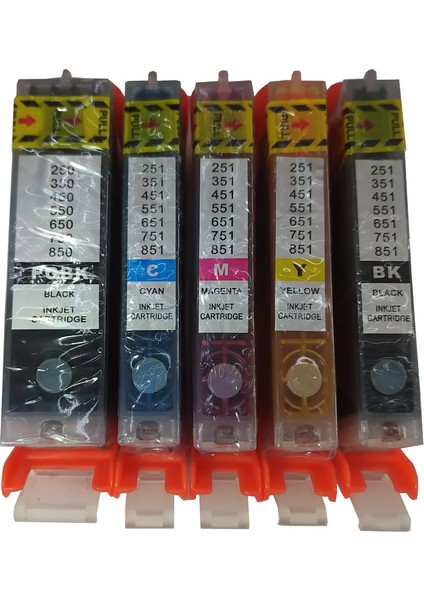 PGI-550 CLI-551 Uyumlu Kolay Dolan Kartuş + 5 x 50 ml Mürekkep 5 Renk (Dolu)