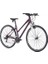 Sportive 222 28 Jant 457H 21V Vb Mat Mor Gri Fuşya 1