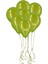 100'LÜ Lateks Pastel Balon Yeşil 1