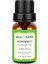 Peppermint Essential Oil 2