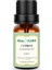 Cypress Essential Oil 2