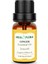 Ginger Essential Oil 2