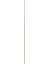 Gürgen Sap 150 cm 1