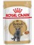 British Shorthair Yetişkin Pouch Kedi Konservesi 85 gr 1