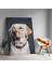 Sevimli Beyaz Köpek Dikey Dekoratif Kanvas Tablo 2