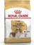 Cavalier King Charles 27 Yetişkin Köpek Maması 3 kg 1