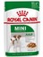 Mini Adult Soslu Köpek Konservesi 85 G 1