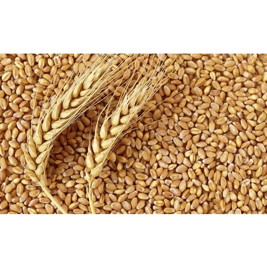 Narımpa Buğday Yemi 5 kg