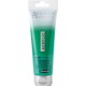 Phthalo Green Light