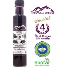 Organik Yaban Mersini ve Aronya Özü Posalı Şurup 250ml